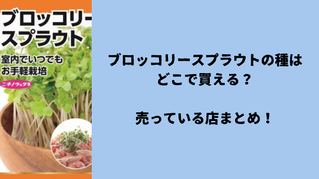 ブロッコリースプラウトの種はどこで買える？売っている店まとめ！
