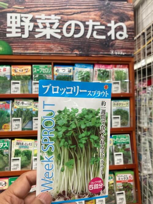 セキチューで売っていたブロッコリースプラウトの種